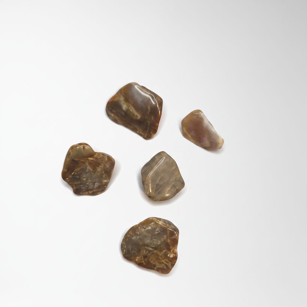 Tumbled Agate Halves Group